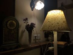 -斯多格书乡(北京大学畅春园店)