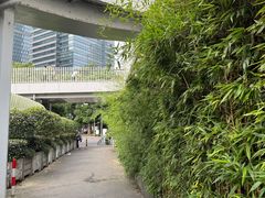 -北外滩滨江绿地