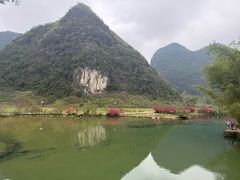 -靖西鹅泉风景区