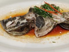 -點無缺茶楼·海鲜酒家(世博店)