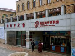 -青岛贝壳博物馆