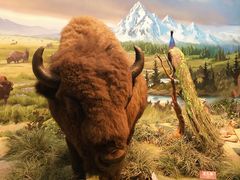 -陕西自然博物馆