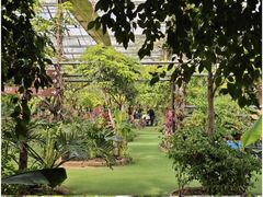 -呀路古热带植物园