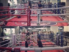 -天行健身＆天行拳馆跆拳道·格斗TXGYM