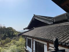 -大唐贡茶院