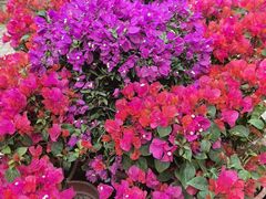 -桃花涧