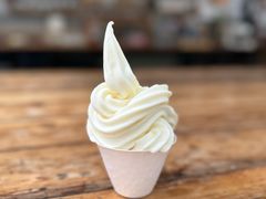 -北马山庄植趣咖啡