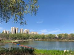 -燕郊植物园