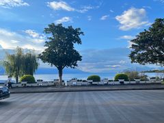 -野菌皇海景野生菌火锅(滨海大道店)