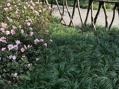 -成都杜甫草堂博物馆