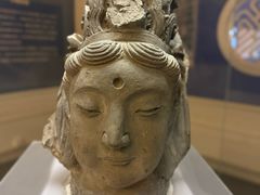 -呼和浩特博物馆