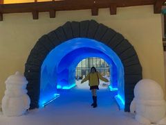 -世界之窗阿尔卑斯冰雪世界