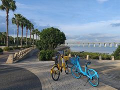 -宝安西湾红树林湿地公园