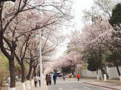 -吉林大学(南岭校区)