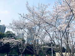 -喜茶(武汉范湖万达广场店)