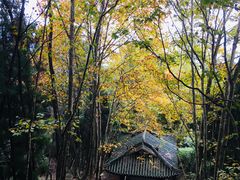 -窦圌山风景区