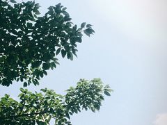 -Cafe on warm(丹霞店)