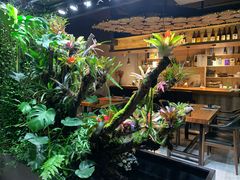 -森味薪火烧•烧鸟居酒屋•日本料理(望京店)
