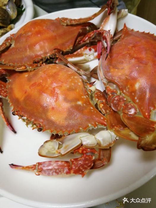 小平岛海鲜舫图片 - 第41张