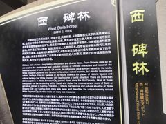 -白帝城·瞿塘峡景区