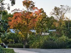 -昆山城市生态森林公园