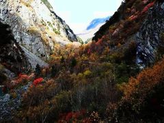 -叠溪松坪沟景区