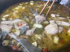 -鲜椒鱼·雅安地标性美食