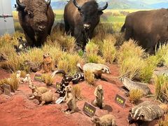 -陕西自然博物馆