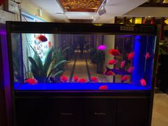 -重庆家富富侨养生会所全省示范店(东五路店)