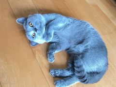 -爱侣宠医·鹦鹉专科·小型哺乳类·异宠专科(灵石路店)