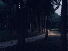 -南宁南湖公园