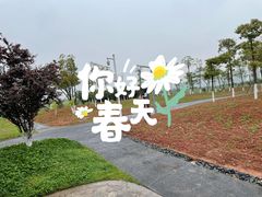 -洋湖国家湿地公园