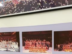 -中央芭蕾舞团·中芭艺蕾(酒仙桥明星校区)
