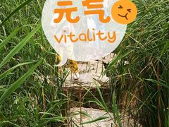 -永定河休闲森林公园