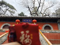 -潭柘寺景区