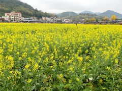 -红山村