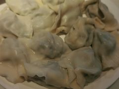 茴香猪肉-东方饺子王臻味餐厅(新嘉坡城店)