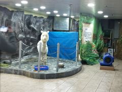 -上海大自然野生昆虫馆(东方明珠·爬宠昆虫探索中心)