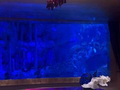 -迪拜帆船酒店海底餐厅