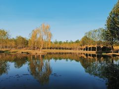 -东郊湿地公园