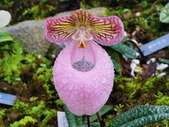 -国家植物园南园