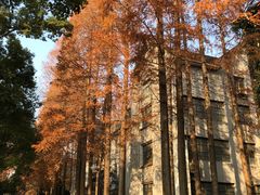 -苏州大学(天赐庄校区)