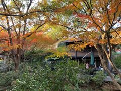 -中国茶叶博物馆(双峰馆区)