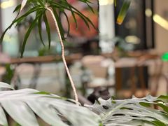 -théATRE茶聚场·餐厅(环球金融中心店)