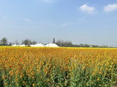 -中国天府农业博览园