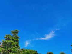 -香市公园-中国沉香文化博物馆