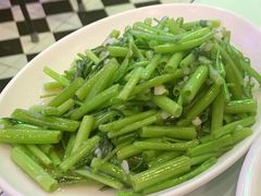 炒空心菜-澳门陈光记烧味饭店(郎家园店)
