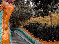 -西双版纳勐泐文化旅游区