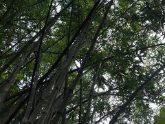 -晓港公园
