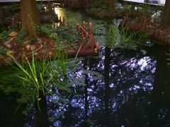 -来伊份1038(新村路三店)